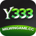 Y333 Game